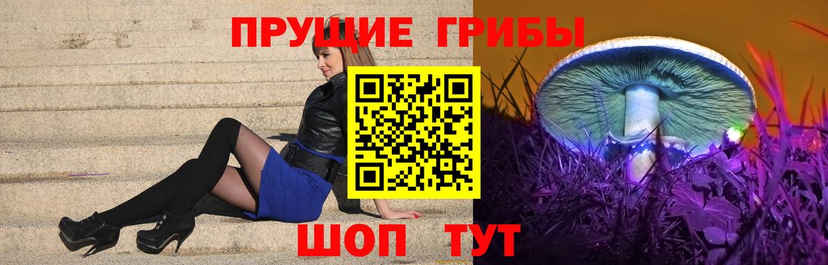 Лесосибирск  Галлюциногенные грибы мухоморы  Псилоцибиновые грибы Psilocybe  Вход с VPN 